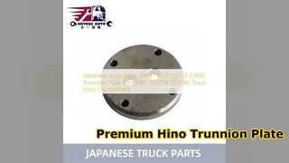 Substituição da placa munhão Hino 500 700 49431 1020